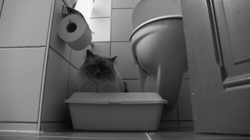 Bémol aux toilettes