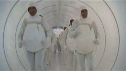 What happens during …