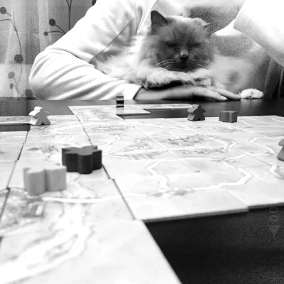 M.A.D. Cat