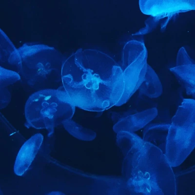 2015-10-22-16-58