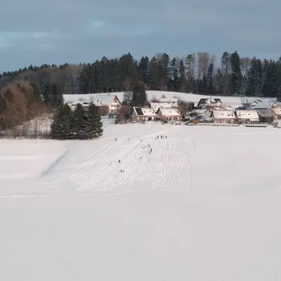 Rural hamlet with traditional houses nestled among snow-covered fields and forests