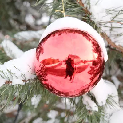 Red Christmas ornament ball hanging on a snow-covered evergreen branch