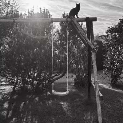A black cat perched on top of a wooden swing set in a garden, silhouetted against a bright backlit sky streaked with contrails. A wooden swing hangs below on ropes, casting long shadows on the grass. Trees and shrubs fill the background. Black and white photograph.​​​​​​​​​​​​​​​​