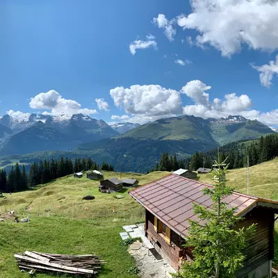 Panorama de la vallée de Disentis avec un châlet et des chèvres en premier plan