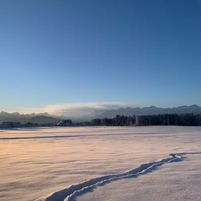 A snowy field lit by the orange light of the morning sun