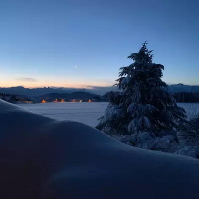 The sun rises on a snowy field. A pile of snow in the lower left corner blocks the view. A snowy pine tree in the foreground.