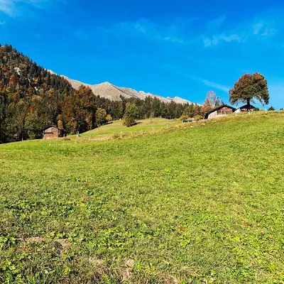 Un pâturage vu de contre-bas. Au deuxième plan à droite, on peut voir un châlet avec un arbre qui se détache sur l'horizon. Au dernier plan à gauche, on voit le Pic Chaussy.