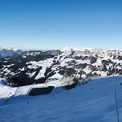 The view from the top of Barboleuse in Gryon