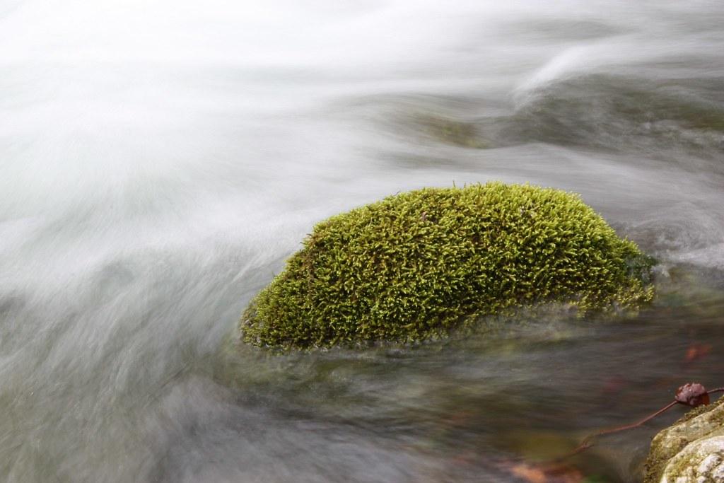 Gorges de Covatannaz - 065