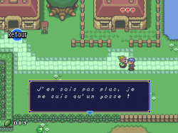 Link discute dans le village