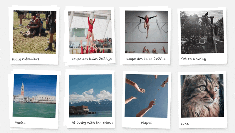 Demo of the hover effects on polaroids