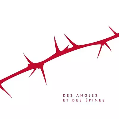 Album cover Des angles et des épines