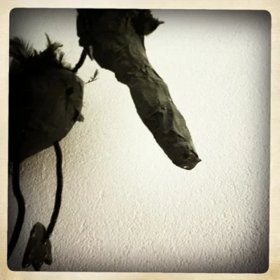 Corbeau