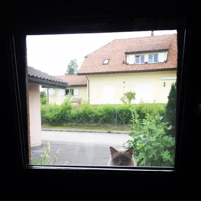 Surprise !!!
Première nuit dehors.
Le désarroi dan