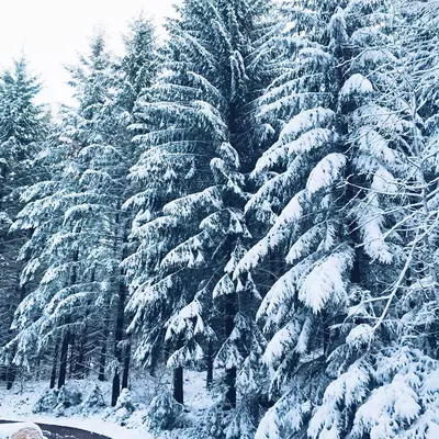 #running #snow #strava #jorat #switzerland