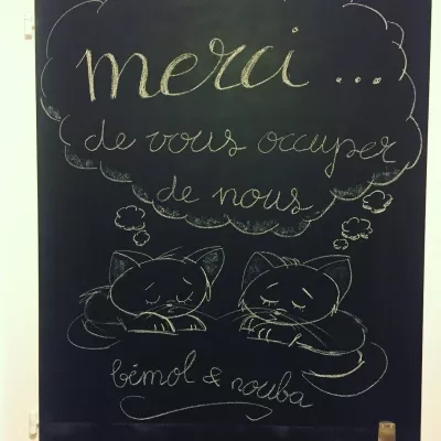 Merci 🐱 #cat #chalkboard #chalk