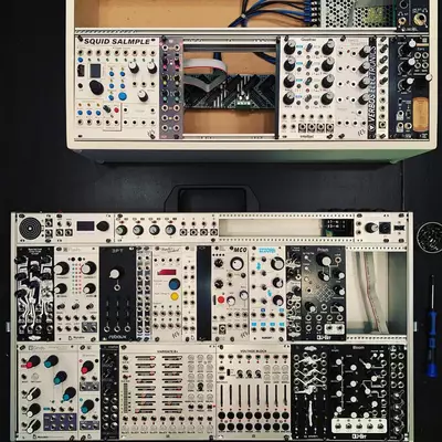 Two rows of Eurorack modular synthesizer modules arranged on a green and black surface. The top row contains the Squid Sampler and various signal processing modules, while the bottom row displays a comprehensive collection of sound synthesis, effects, and control modules with multiple knobs, jacks, and patch cables.
