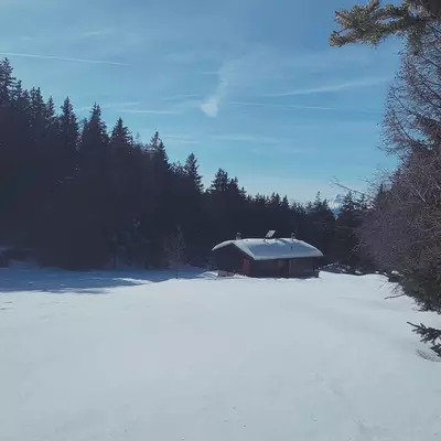 A small wooden cabin sits on a frozen lake surrounded by evergreen forests under a clear blue sky, with snow covering the ice and the cabin's roof.