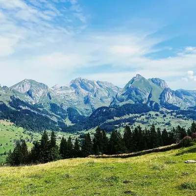 Alpine meadows with scattered evergreen forests and rocky mountain peaks in the distance under a partly cloudy sky, likely in the Swiss Alps region.