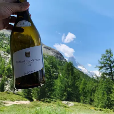 A hand holds a bottle of Ammone de Vitesse wine against a backdrop of green alpine mountains, meadows, and blue sky with white clouds.