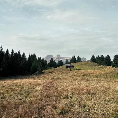 A pastoral mountain landscape with dry golden grassland in the foreground, evergreen trees flanking both sides, a small wooden structure on a grassy knoll in the middle distance, and snow-capped peaks visible beneath a cloudy sky.