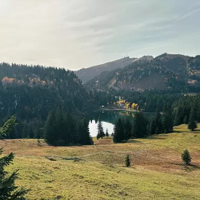 A serene alpine valley with a pristine lake nestled between forested mountains, golden larch trees scattered across meadows, and evergreen conifers blanketing the slopes under a partly cloudy sky.