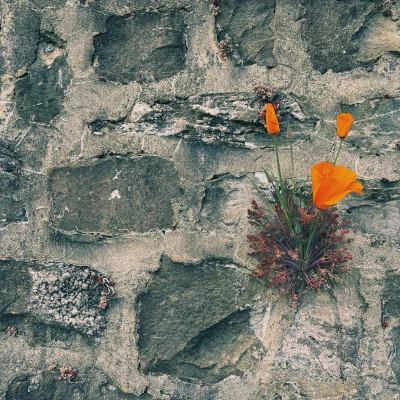 Orange on grey
