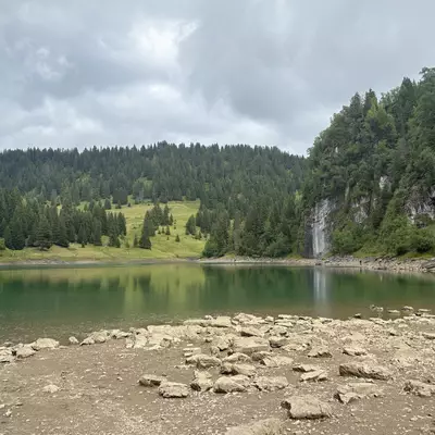 A view of the rocky shoreline of Lac des Chavonnes, with its tranquil green waters reflecting surrounding pine forests and cliffs under an overcast sky.