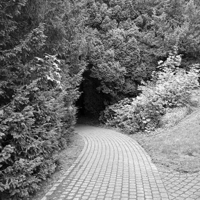 Black and white photograph of a curved brick pathway leading through a natural tunnel formed by overhanging trees in Nyon, Switzerland