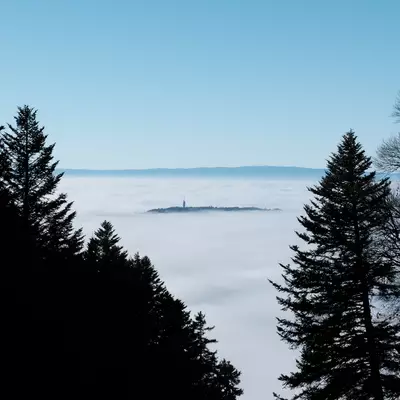 Sea of clouds seen from Les Pléiades, framed by fir tree silhouettes. The Mont Pèlerin relay tower emerges from the fog in the center. Clear blue sky with the Jura mountain range visible on the horizon.