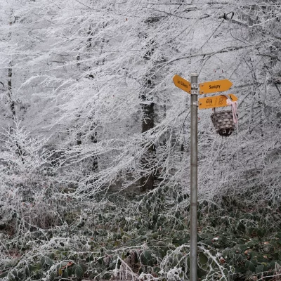 Little Red Riding Hood's lost basket