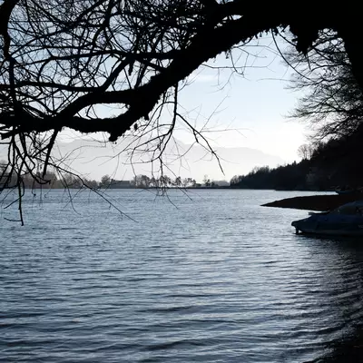 Lake Bret viewed through silhouetted bare tree branches, with a covered motorboat moored at the shore and distant Alps fading into the winter haze