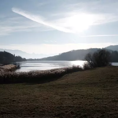 Panoramic winter view of Lake Bret with sun reflecting on the calm water, dry reeds along the shoreline, brown meadow in the foreground, and the Swiss Alps visible on the horizon under a blue sky with wispy clouds