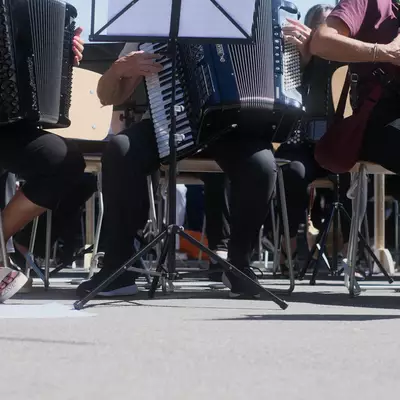 A row of accordion players seated outdoors and seen from behind, sheet music propped on a stand in front of them and their hands resting on the keys.