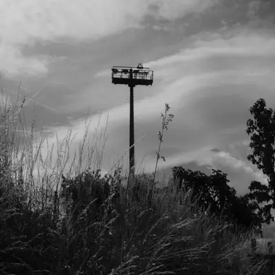 A tall floodlight pole silhouetted against a dramatic cloudy sky, rising above dense wild grass and weeds with trees visible in the background