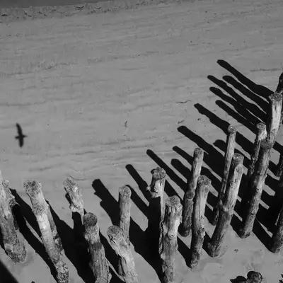 Weathered wooden pilings and posts jut from shallow water at an angle, casting long shadows in this black and white photograph taken at St-Malo. A small bird flies in the distance over the calm water. The eroded timber structures suggest tidal flats or the remains of an old harbor structure.