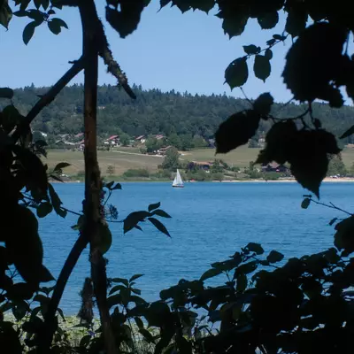 A blue lake framed by silhouetted tree branches and foliage in the foreground, with forested hills, a small sailboat, and scattered houses visible across the water under a clear sky.