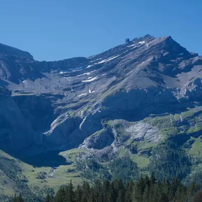 A snow-capped mountain peak rises above a forested valley dotted with evergreen trees and patches of green meadow, under a clear blue sky.