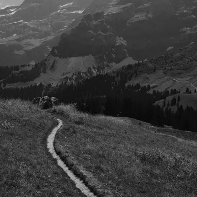 A winding dirt path curves through an Alpine meadow toward forested slopes and distant mountains under a partly cloudy sky, captured in black and white.