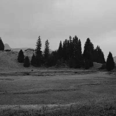 Black and white Alpine landscape: a wide meadow bordered by fir trees with a chalet visible in the background, in a misty and melancholic mood.