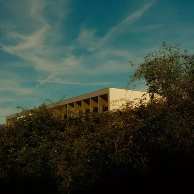 A modern flat-roofed building with a covered walkway peeks above dense bushes, set against a blue sky with wispy clouds.