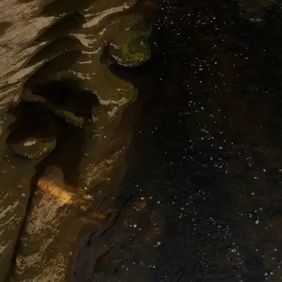 Dark, mossy rock formations along a muddy riverbank, with rippled water and scattered light reflections in the background.