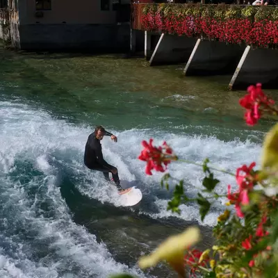 A surfer in a wetsuit rides a wave on a river in Thun, with red flowers and a covered wooden bridge in the background.