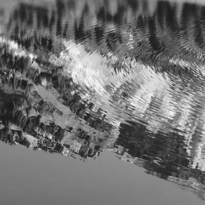 Rippled black and white reflection of a mountain forest and rocks on the surface of the water.