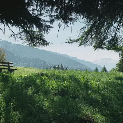 Vue sur le Chablais et les Dents du Midi. Au premier blanc sur la gauche, un banc sous un arbre.