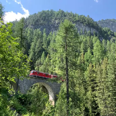 un bon ferroviaire est visible à travers les arbres. Locomotive rouge des chemin de fer rhetique le traverse.