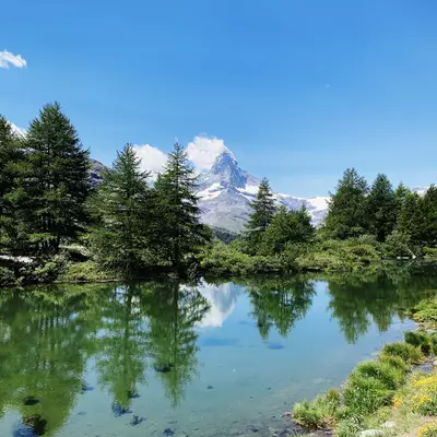Les eaux verts du Grindjsee. Sur la berge d'en-face, on voit le Cervin entre les sapins