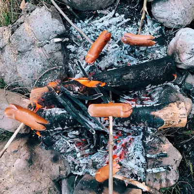 Cervelas cooking on sticks over a fire.