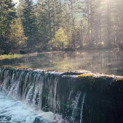 Une petit chite d'eau d'une trentaine de centimetre de haut et de trous metre de large. L'eau est transparente. On voit le fond du cours d'eau.