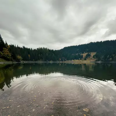 A pebble just fell into the water. The waves are creating circles in Lake Chavonnes.